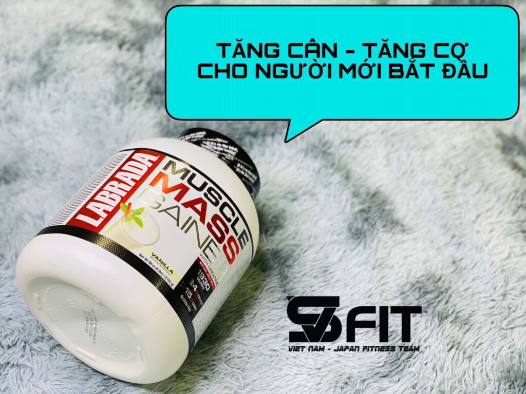 SVFIT GYM