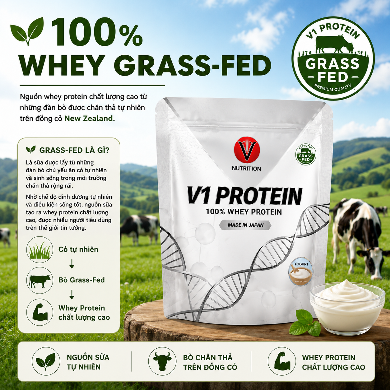 V1 Whey Protein Grass-Fed 3kg 100serving - Made In Japan - Ảnh 5