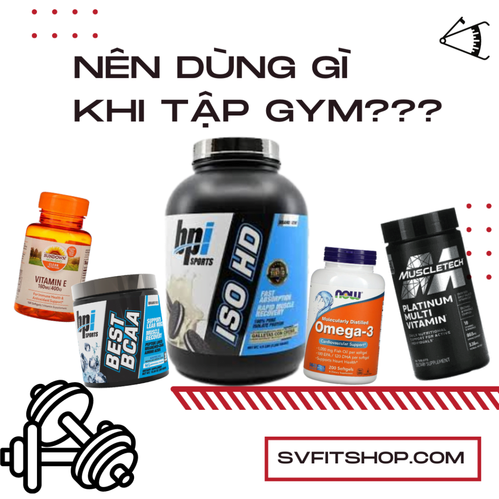 SVFIT GYM