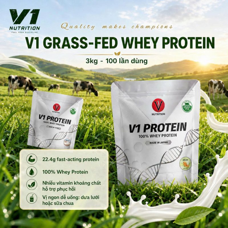Whey Protein - Tăng Cơ