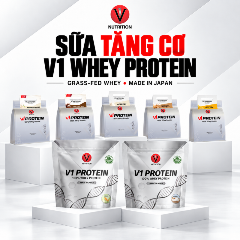 Whey Protein - Tăng Cơ